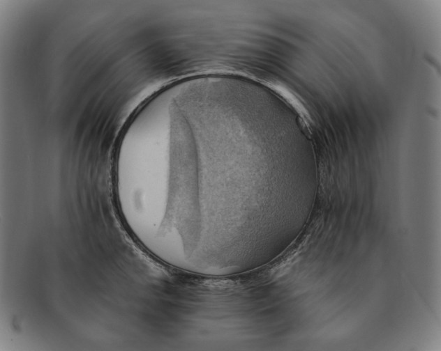 X0000091291142200708311312