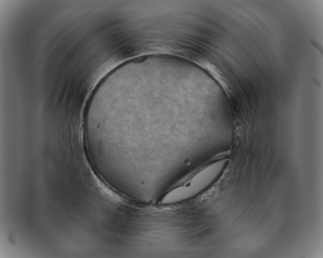 X0000091291143200708311312