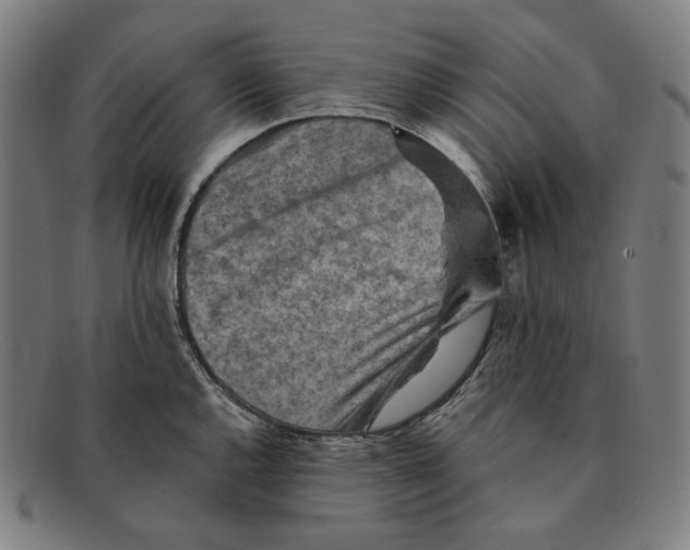 X0000091291144200708311312