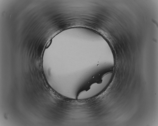 X0000091291145200708311312