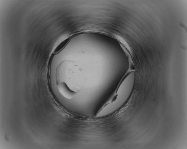 X0000091291146200708311312