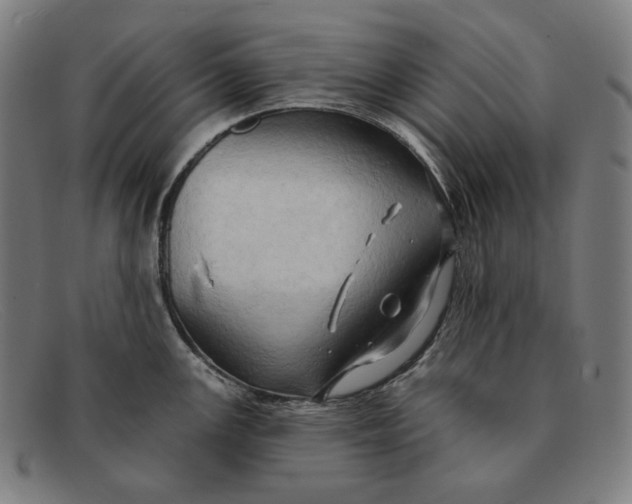 X0000091291147200708311312