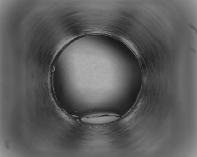 X0000091291149200708311312