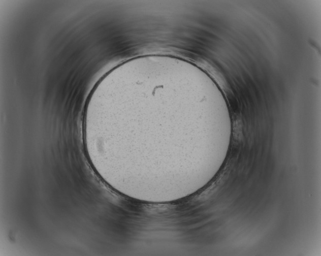 X0000091291150200708311312