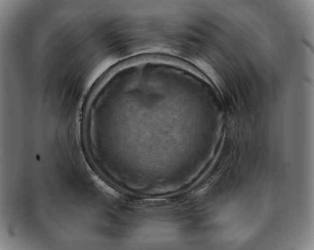 X0000091291151200708311312