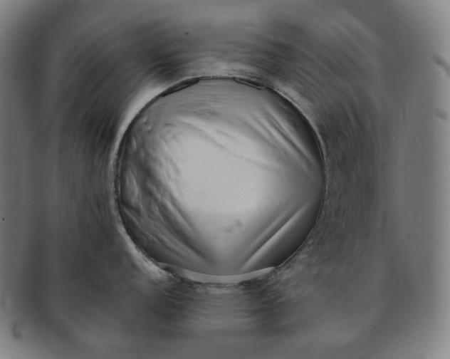 X0000091291152200708311312