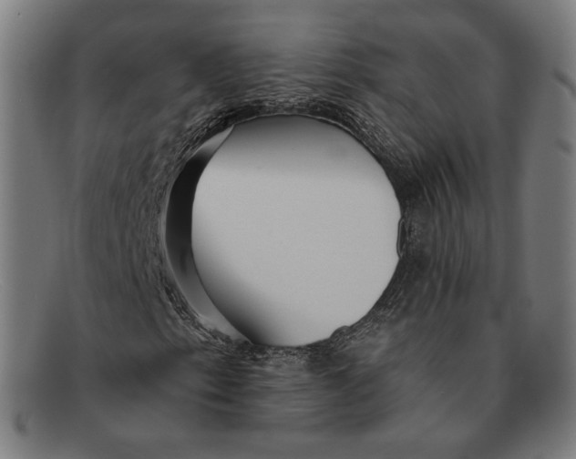 X0000091291153200708311311