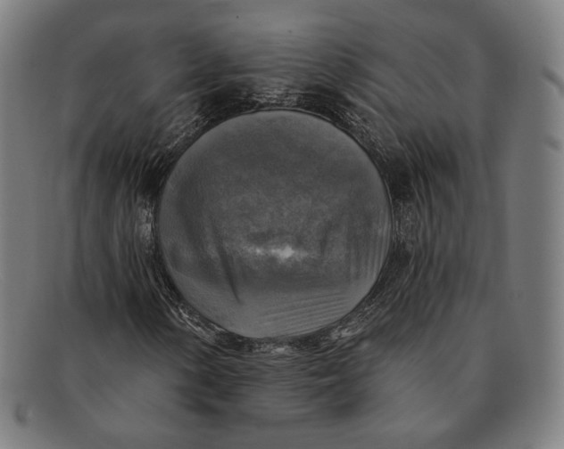 X0000091291154200708311311