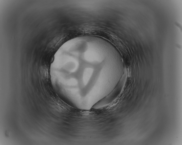 X0000091291155200708311311