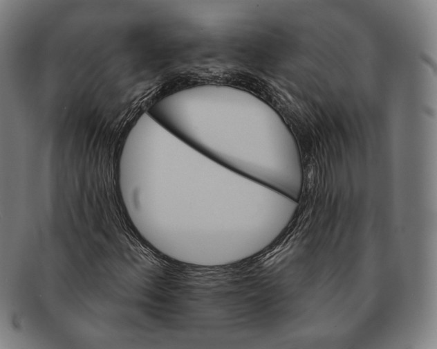 X0000091291156200708311311