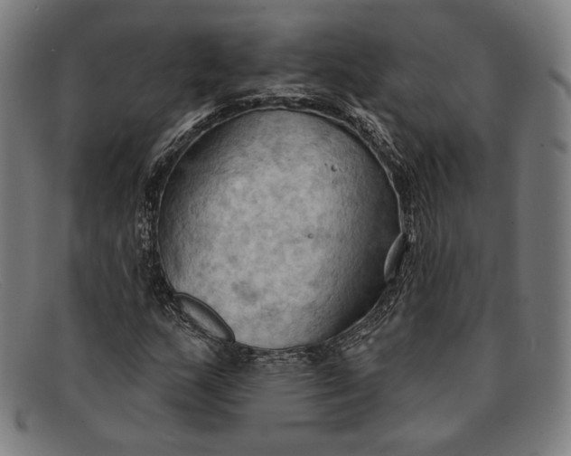 X0000091291159200708311311