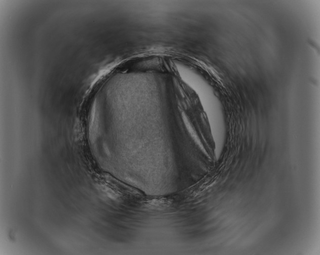 X0000091291160200708311311