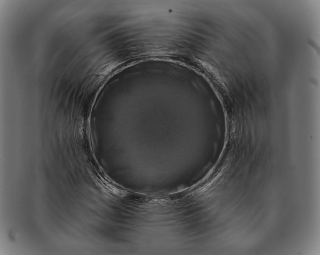 X0000091291161200708311311