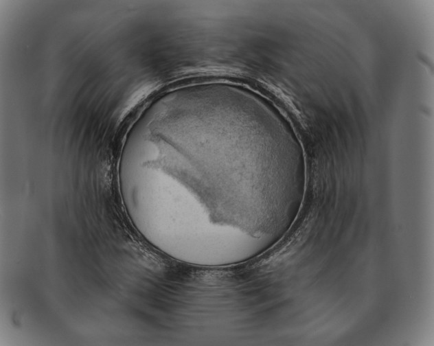 X0000091291163200708311311