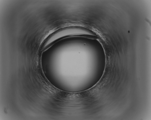 X0000091291165200708311311