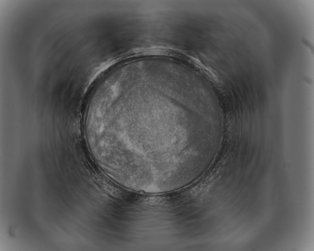 X0000091291166200708311311