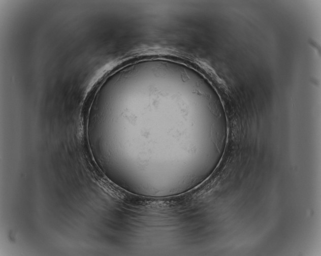 X0000091291167200708311311