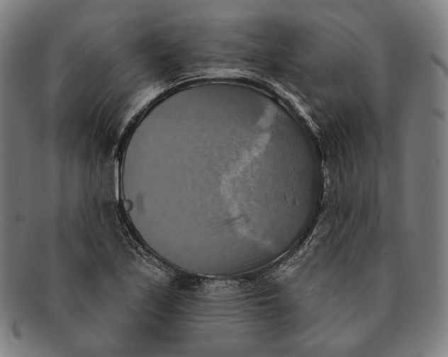 X0000091291171200708311311