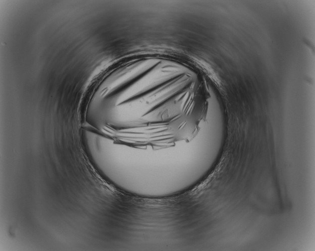 X0000091291172200708311311