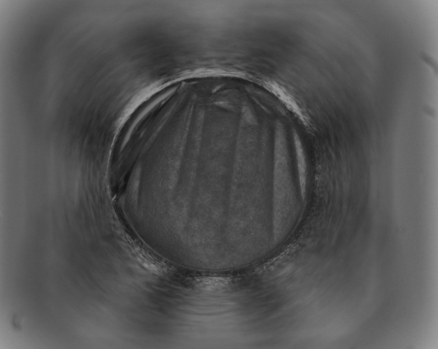 X0000091291173200708311311