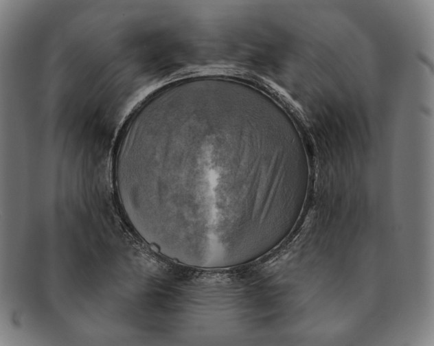 X0000091291174200708311311