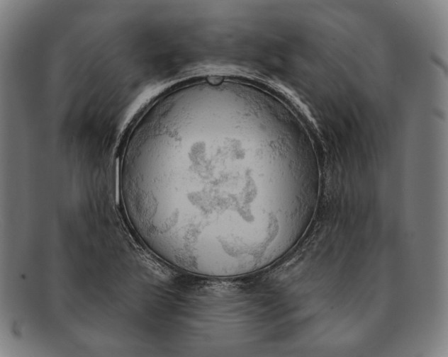 X0000091291175200708311311