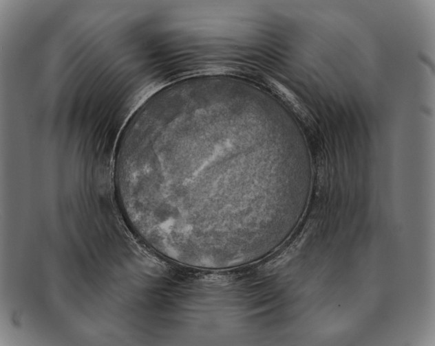 X0000091291178200708311311