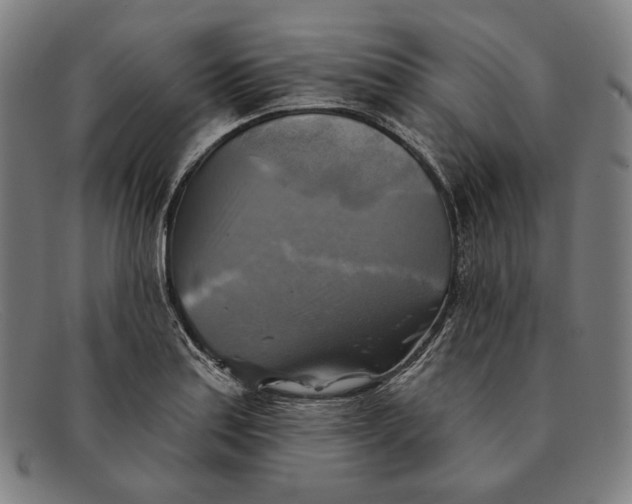 X0000091291179200708311311