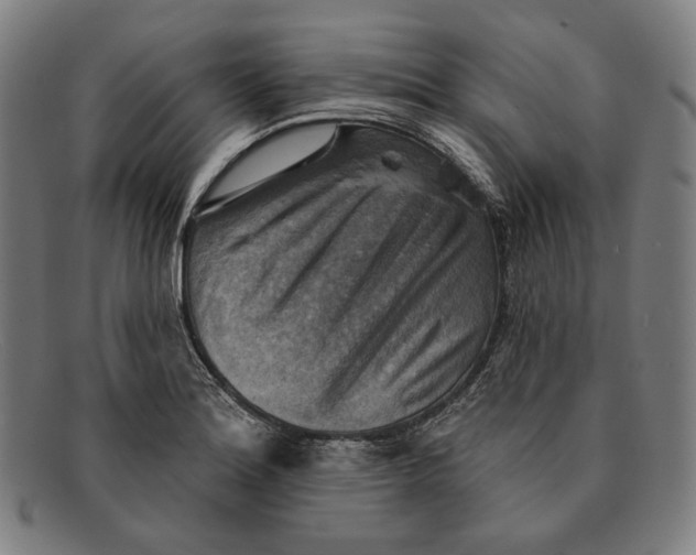 X0000091291180200708311311