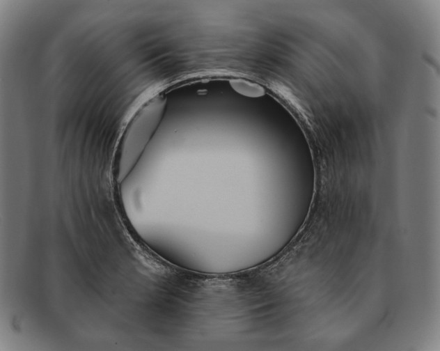 X0000091291181200708311311