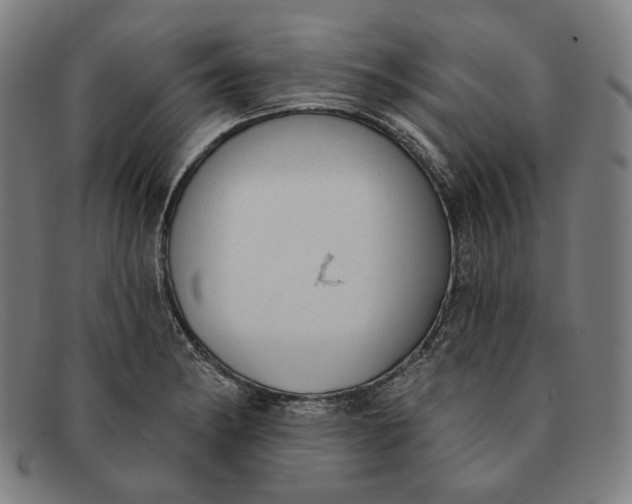 X0000091291182200708311311