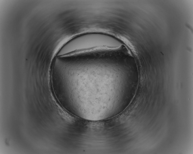 X0000091291183200708311311