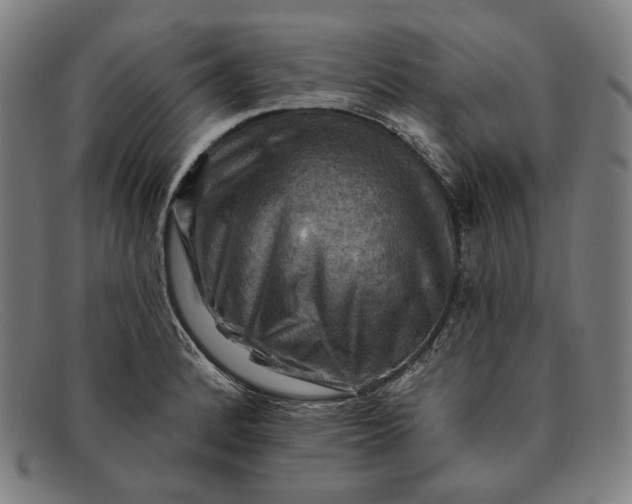 X0000091291184200708311311