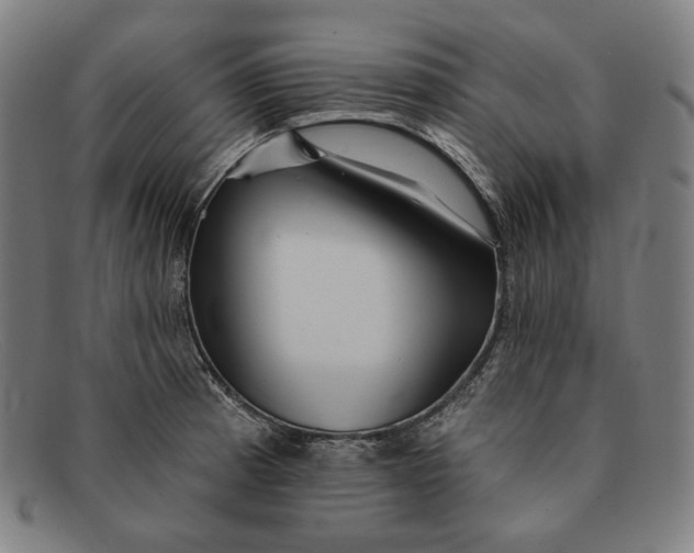 X0000091291185200708311311