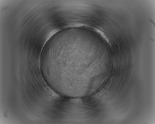 X0000091291186200708311311