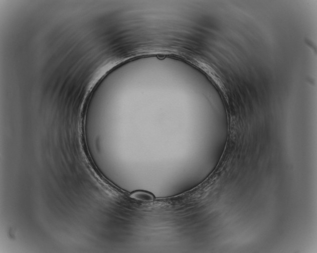 X0000091291187200708311311