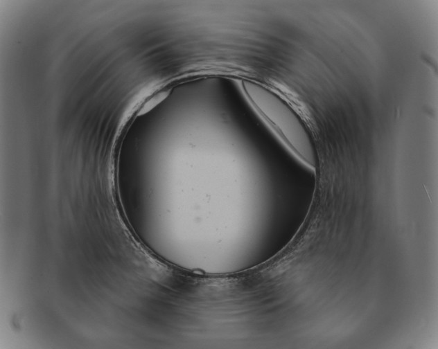 X0000091291188200708311311