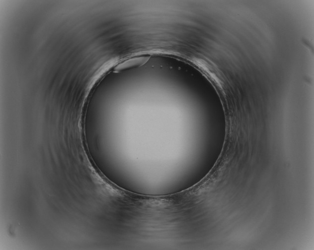 X0000091291189200708311311