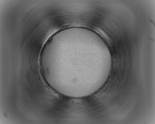 X0000091291190200708311311