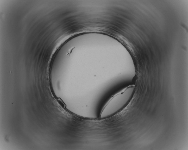 X0000091291192200708311311