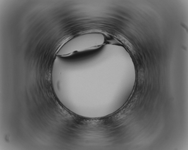 X0000091291193200708311311