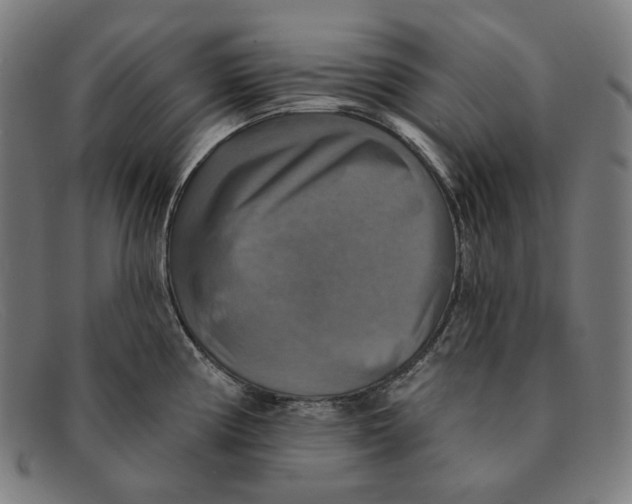 X0000091291194200708311311