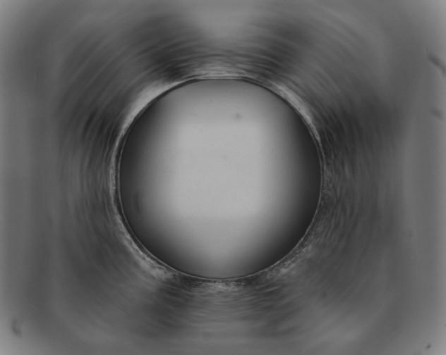 X0000091291195200708311311