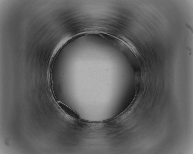 X0000091291196200708311311