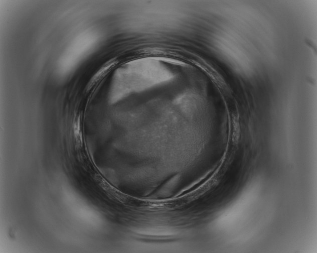 X0000091291198200708311311