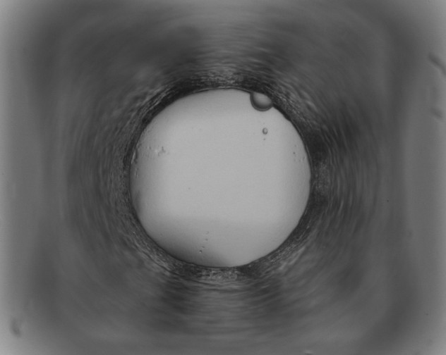 X0000091291201200708311310