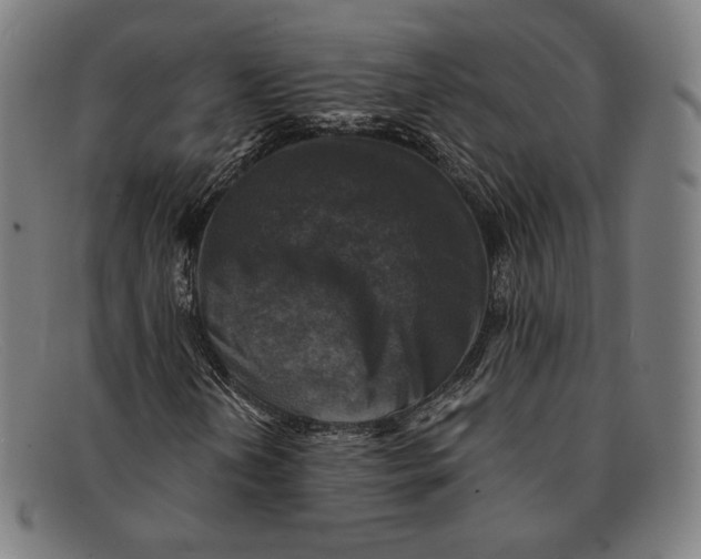 X0000091291202200708311310