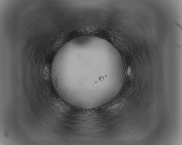 X0000091291203200708311310