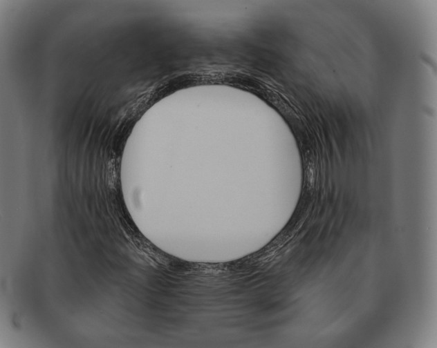 X0000091291204200708311310