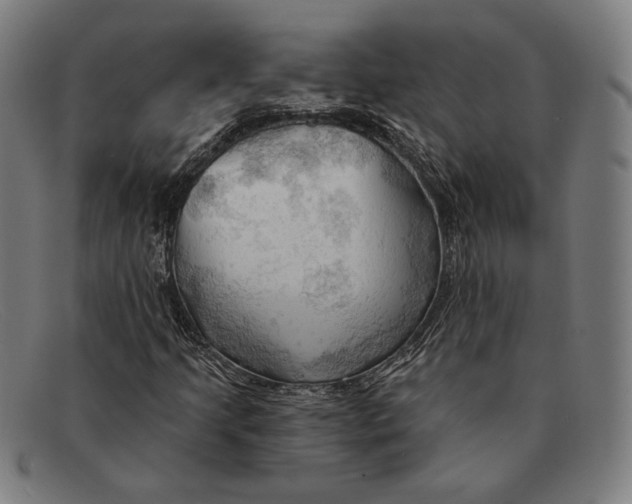 X0000091291205200708311310